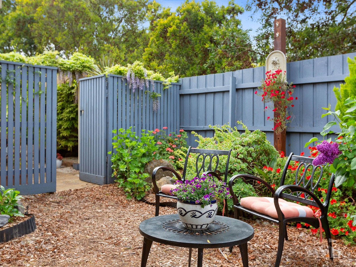 Image of backyard
