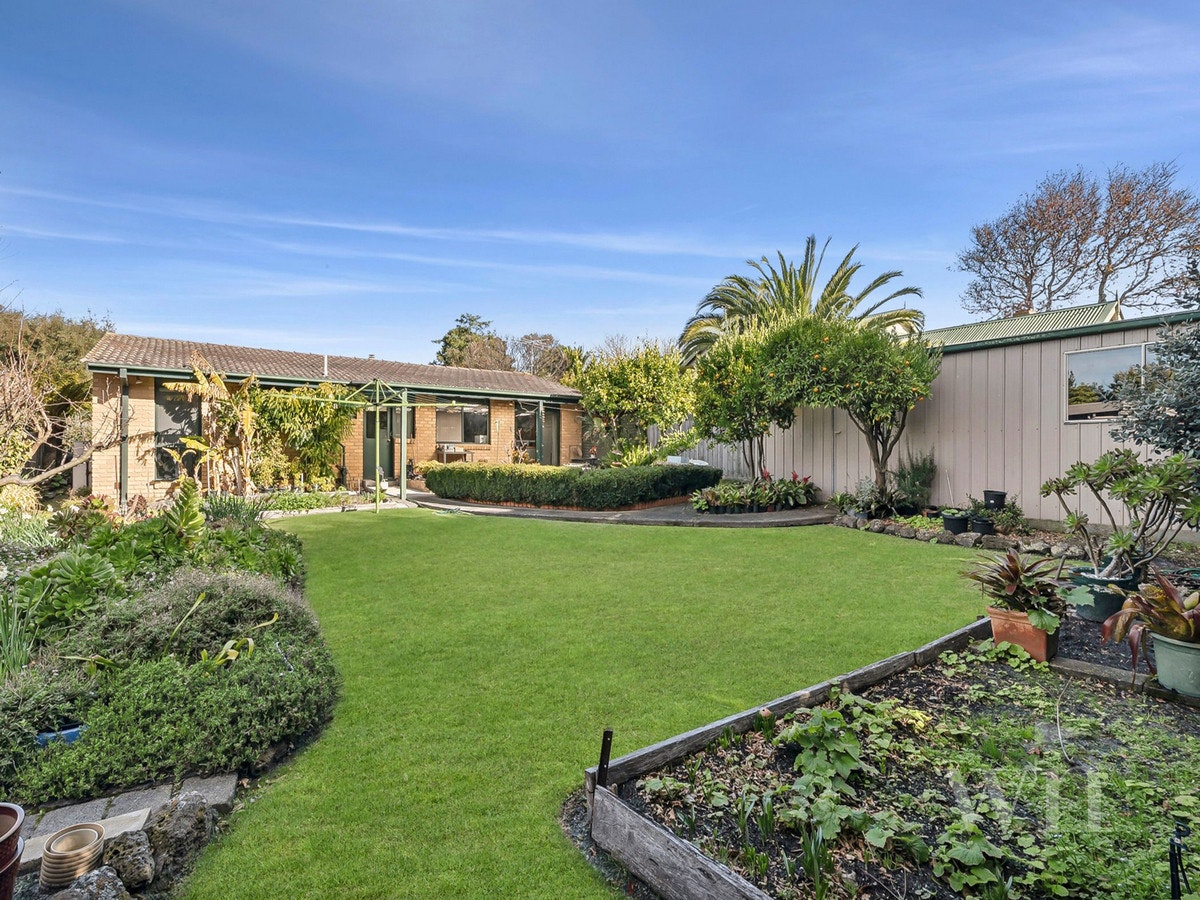 Image of backyard