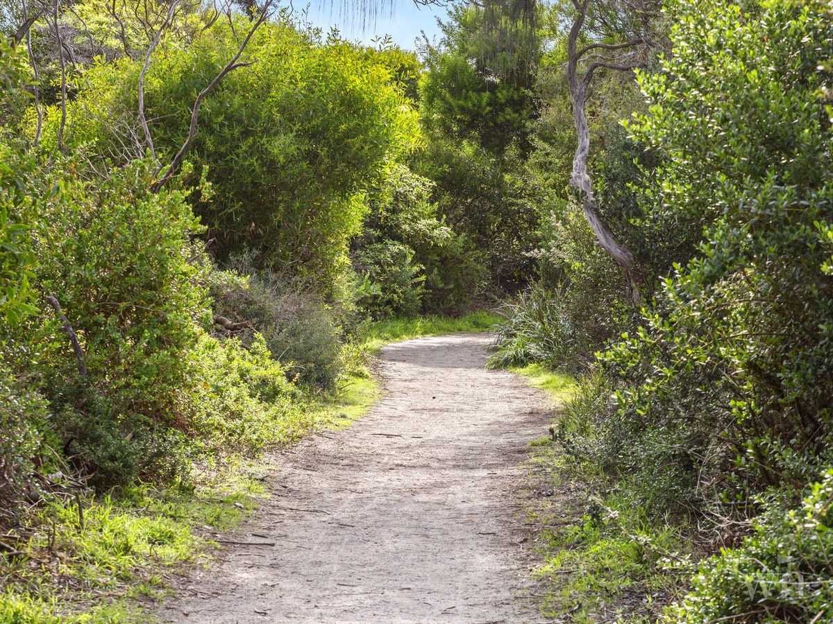 Image of path