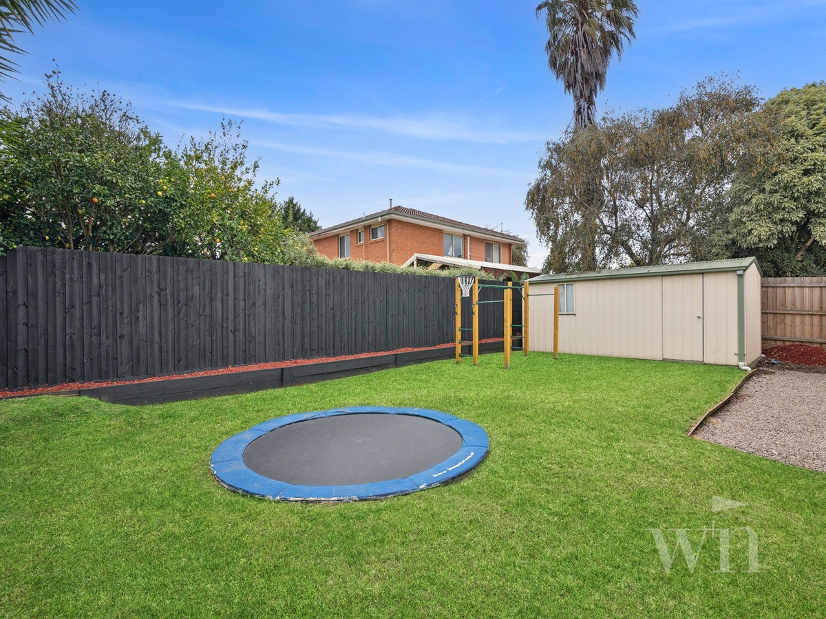 Image of backyard