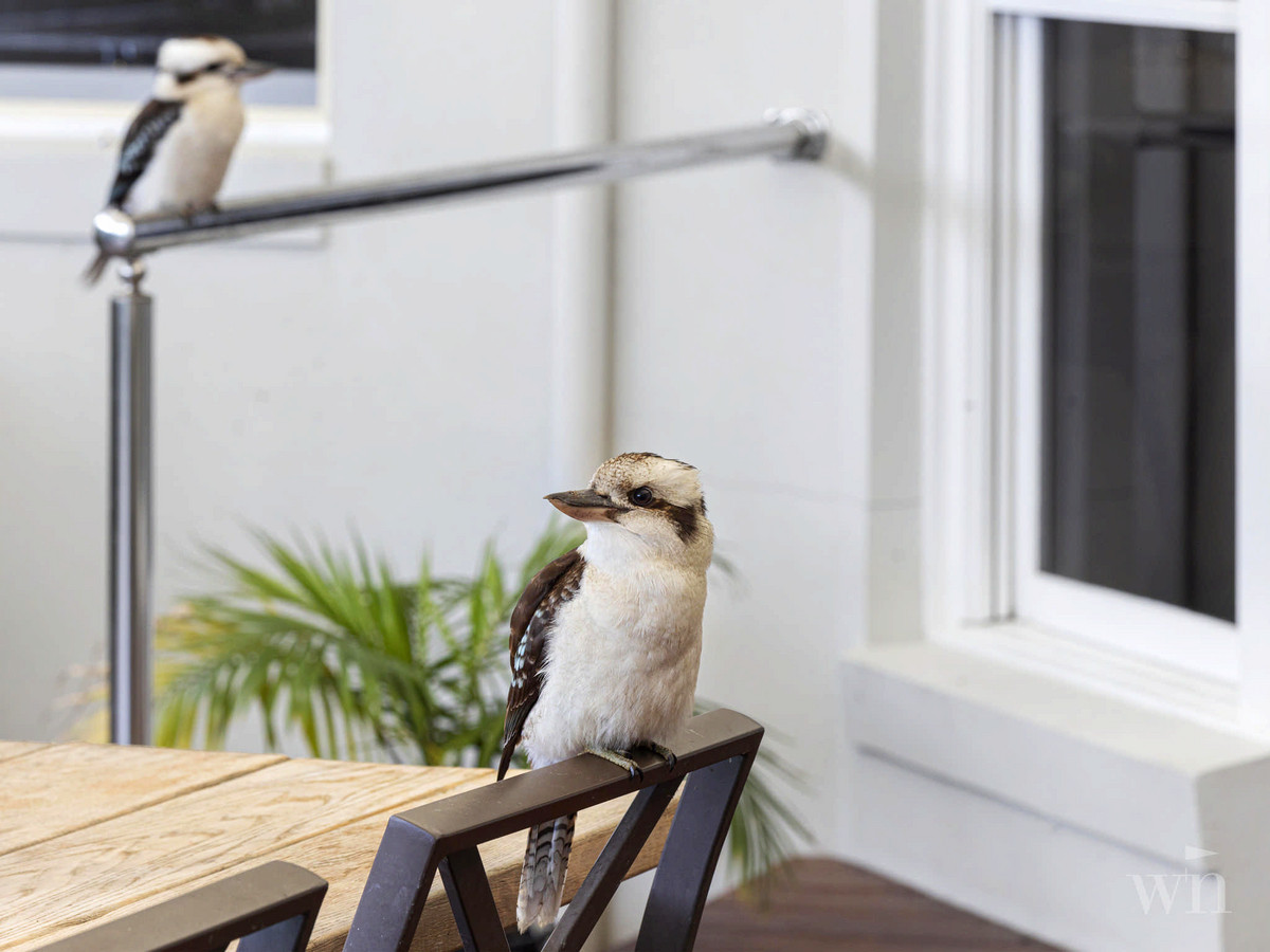 28 Cumberland Drive, Mount Martha - Thumbnail 7