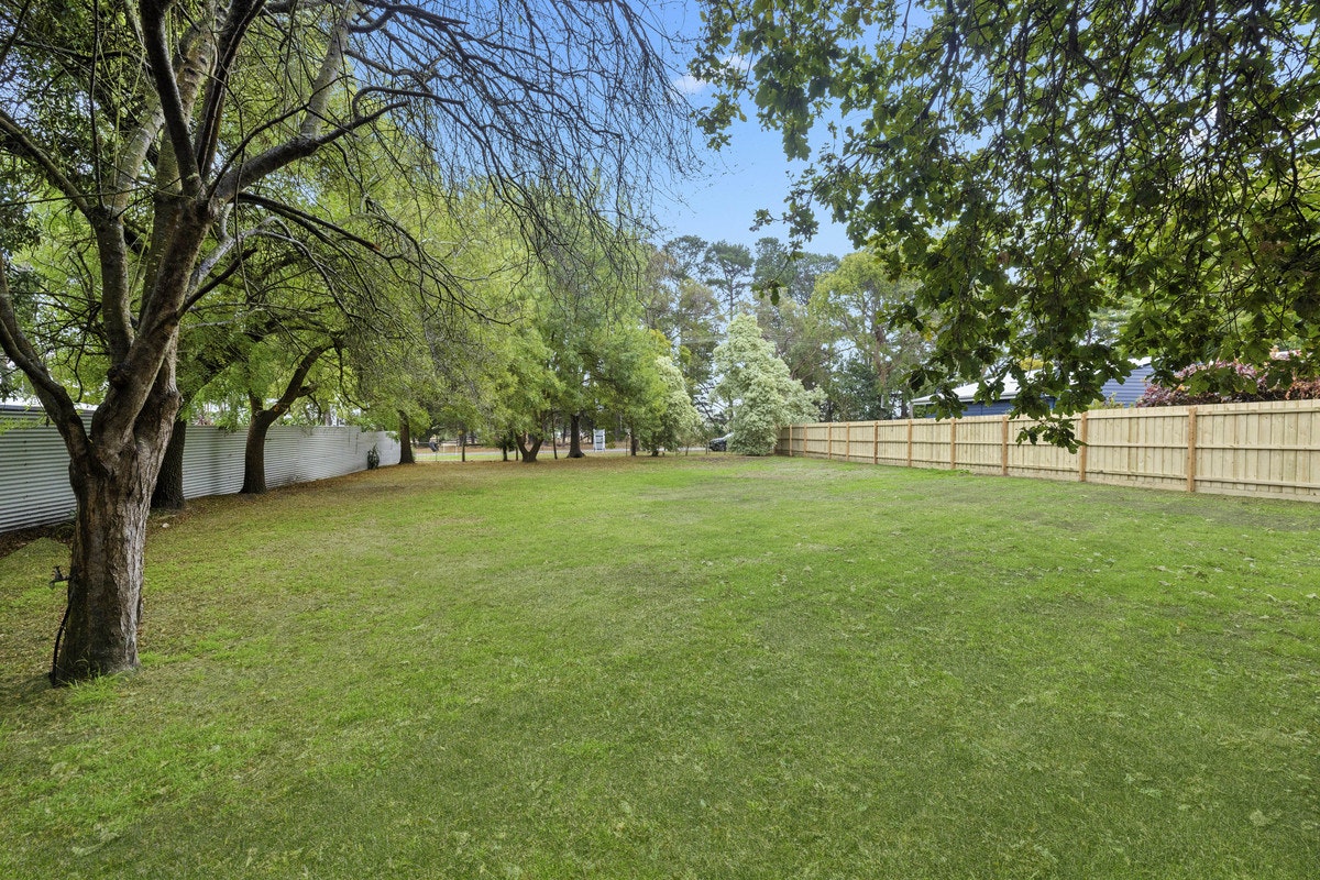 Image of backyard