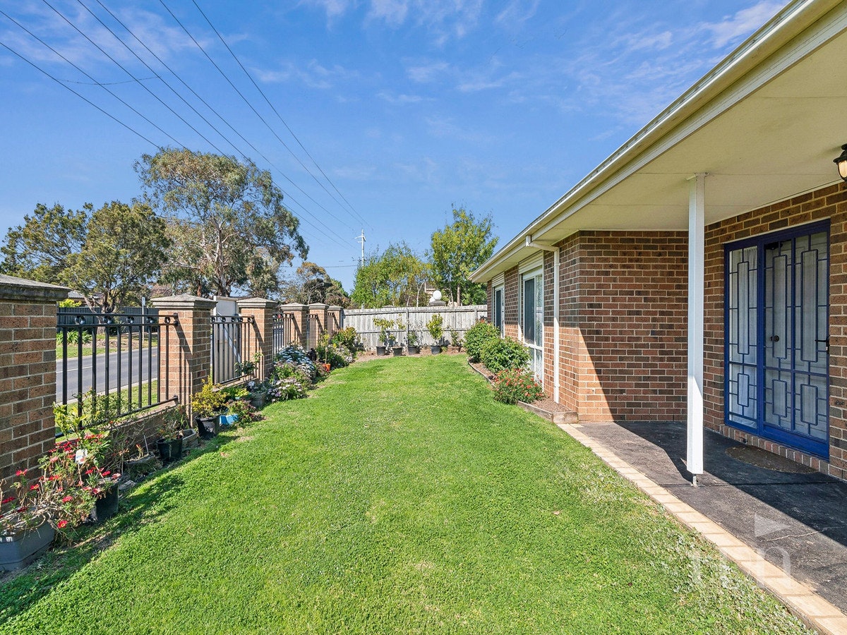 Image of backyard