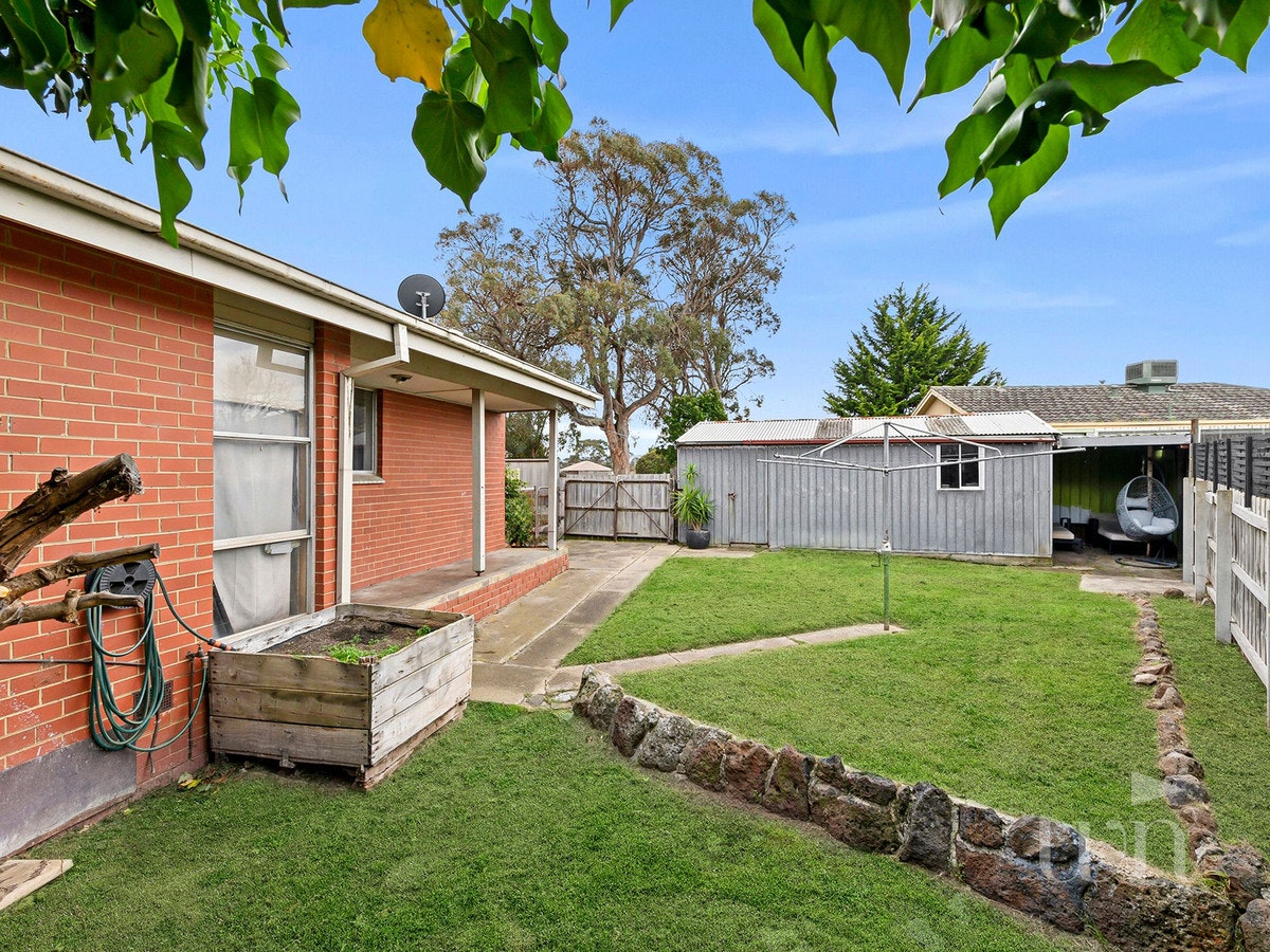 Image of backyard