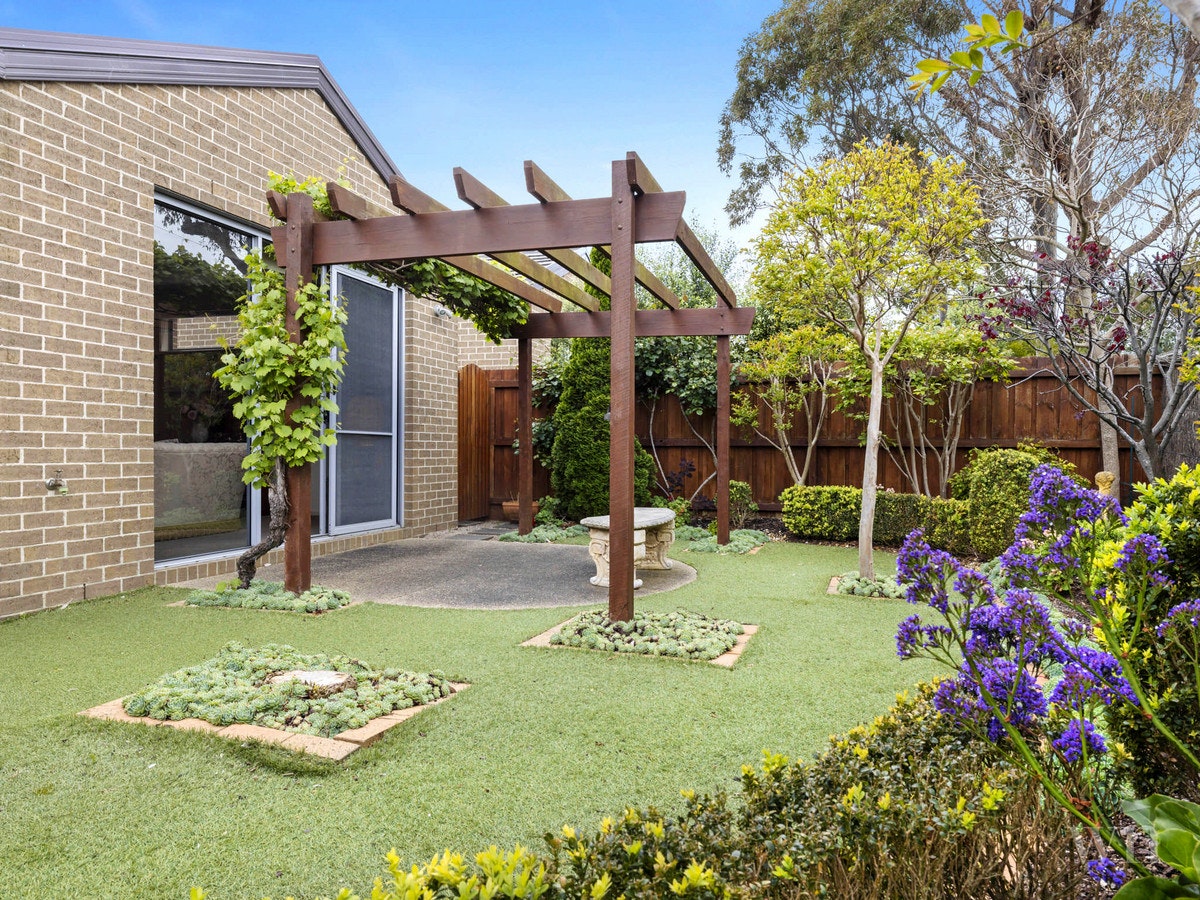 Image of backyard