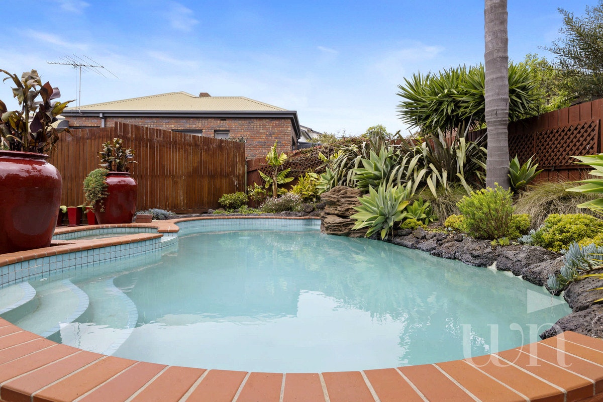 Image of backyard
