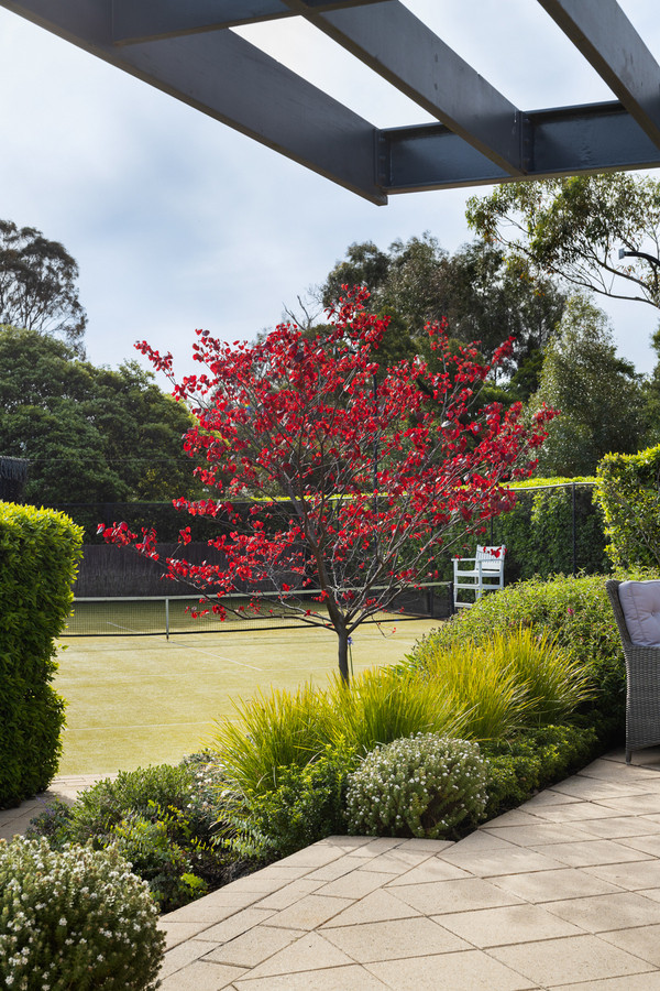 49-51 Fairbairn Avenue, Mount Martha - Thumbnail 7