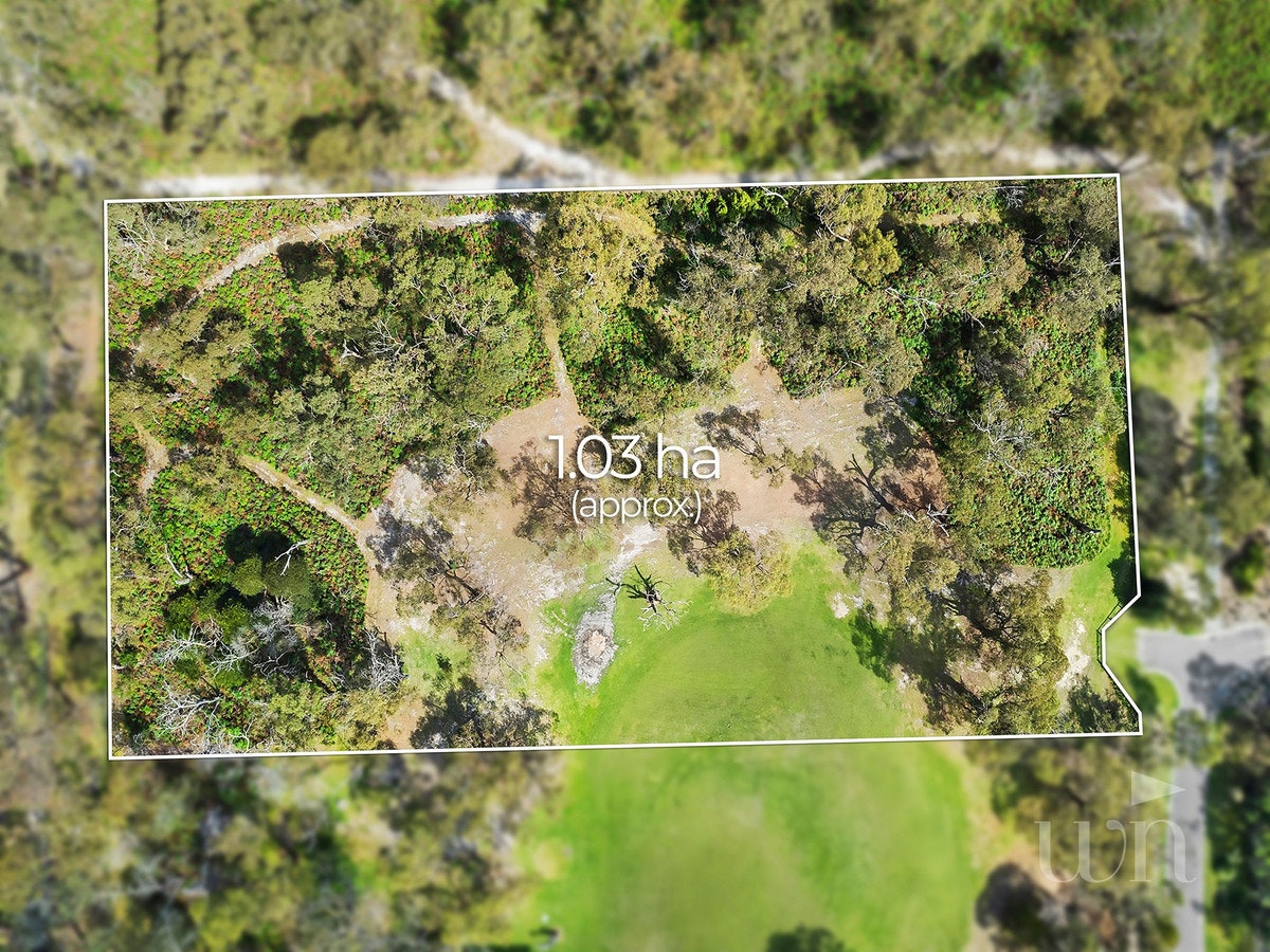 Image of vegetation