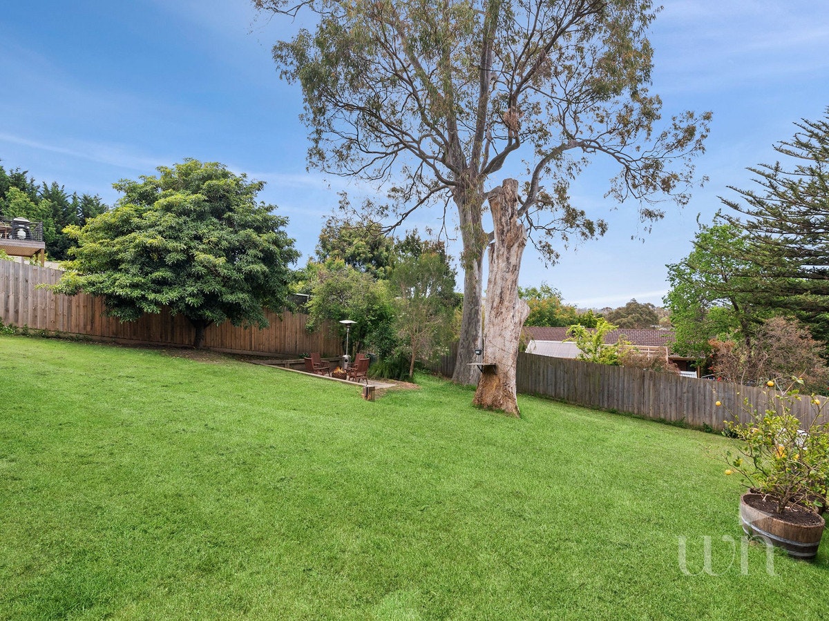 Image of backyard