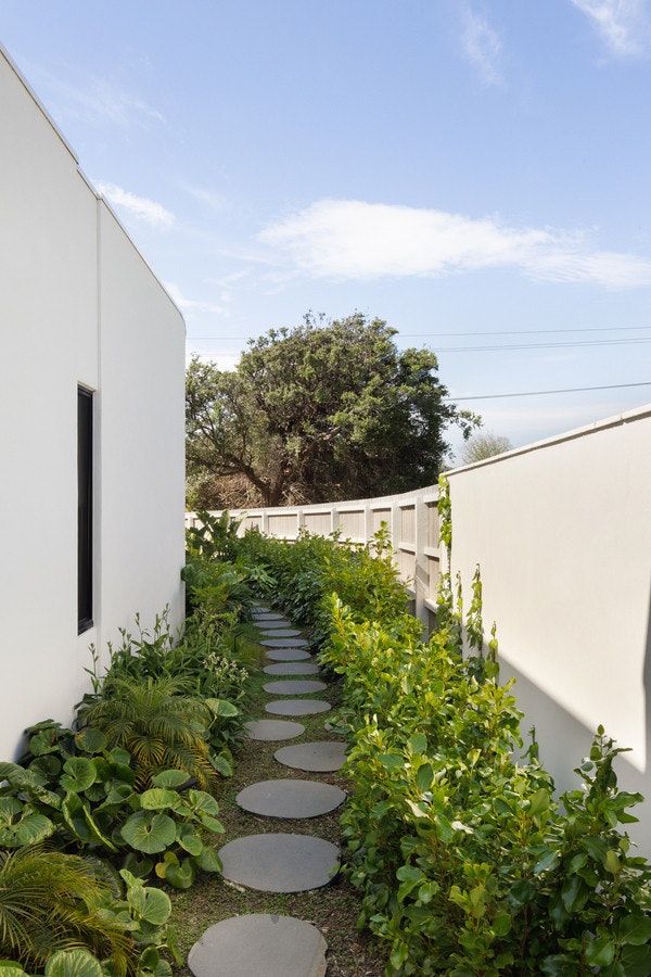 Image of path