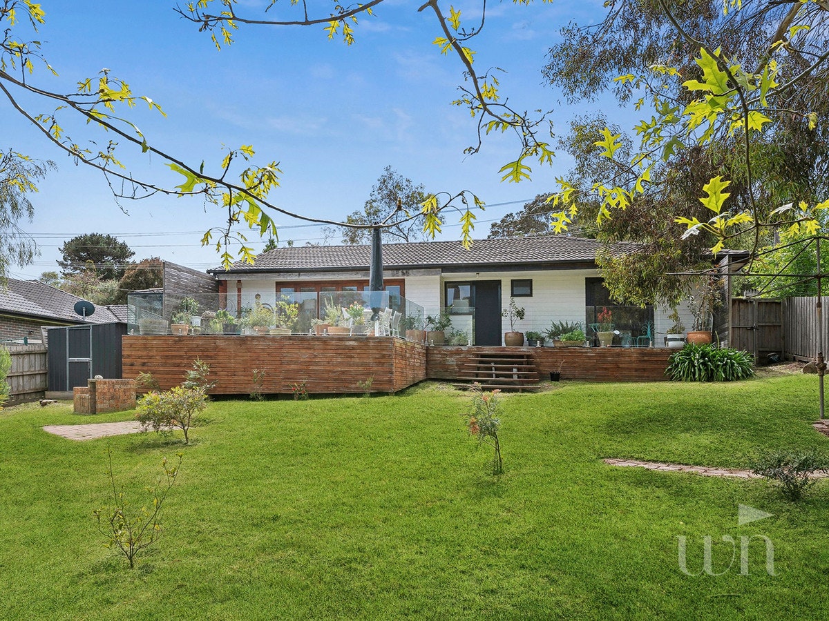 Image of backyard