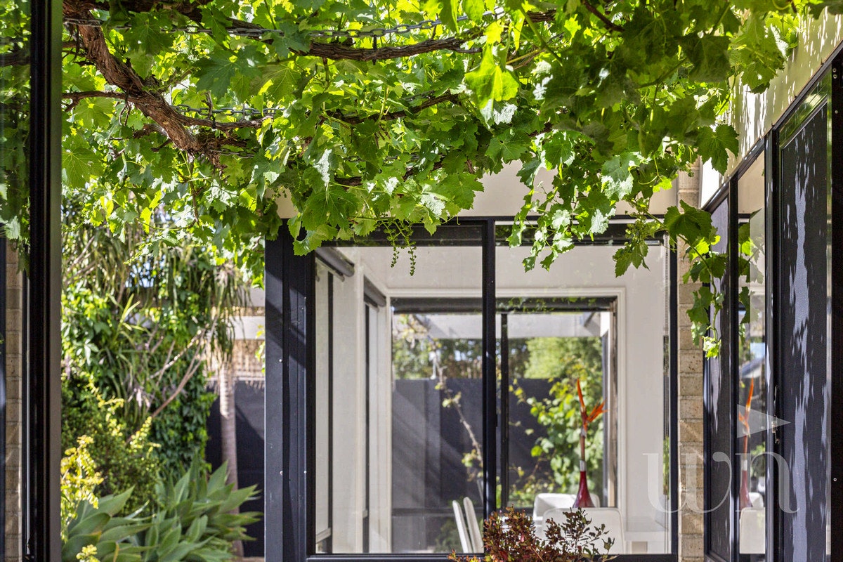 Image of garden