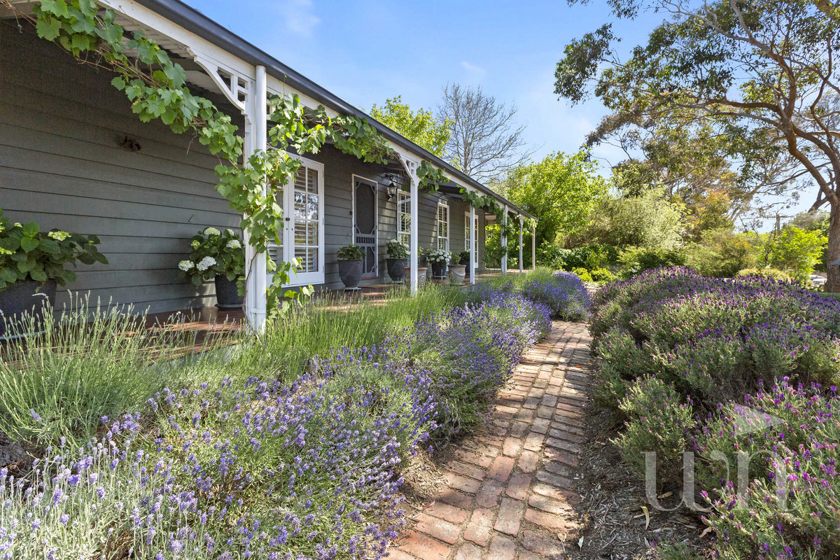 46 Scenic View Drive, Mount Martha - Thumbnail 2