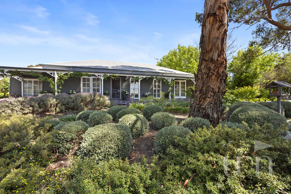 46 Scenic View Drive, Mount Martha - Thumbnail 4