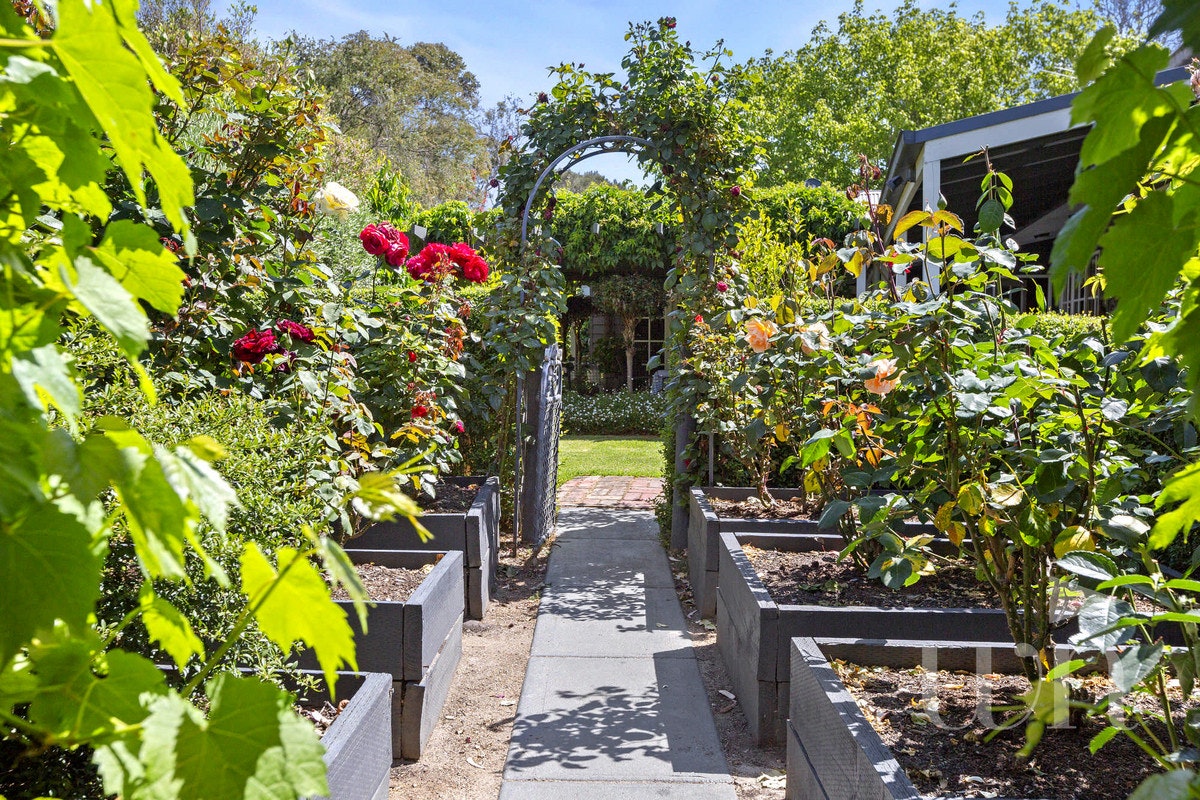 Image of garden