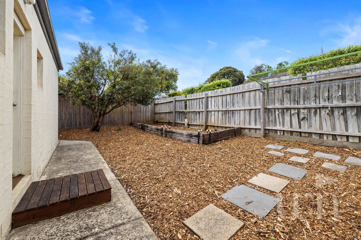 Image of backyard