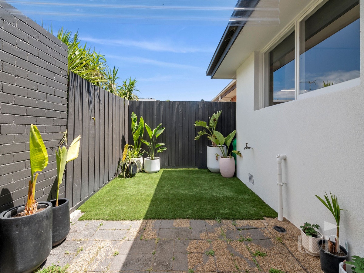 Image of backyard