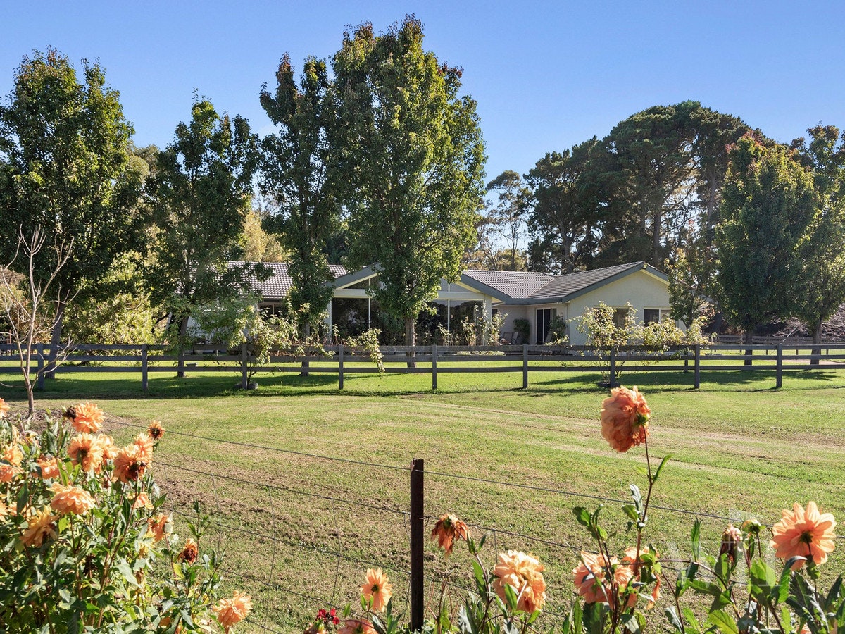 Image of grass