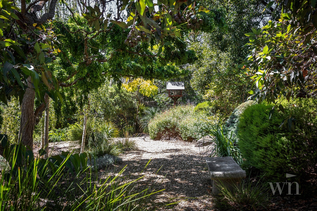 Image of garden