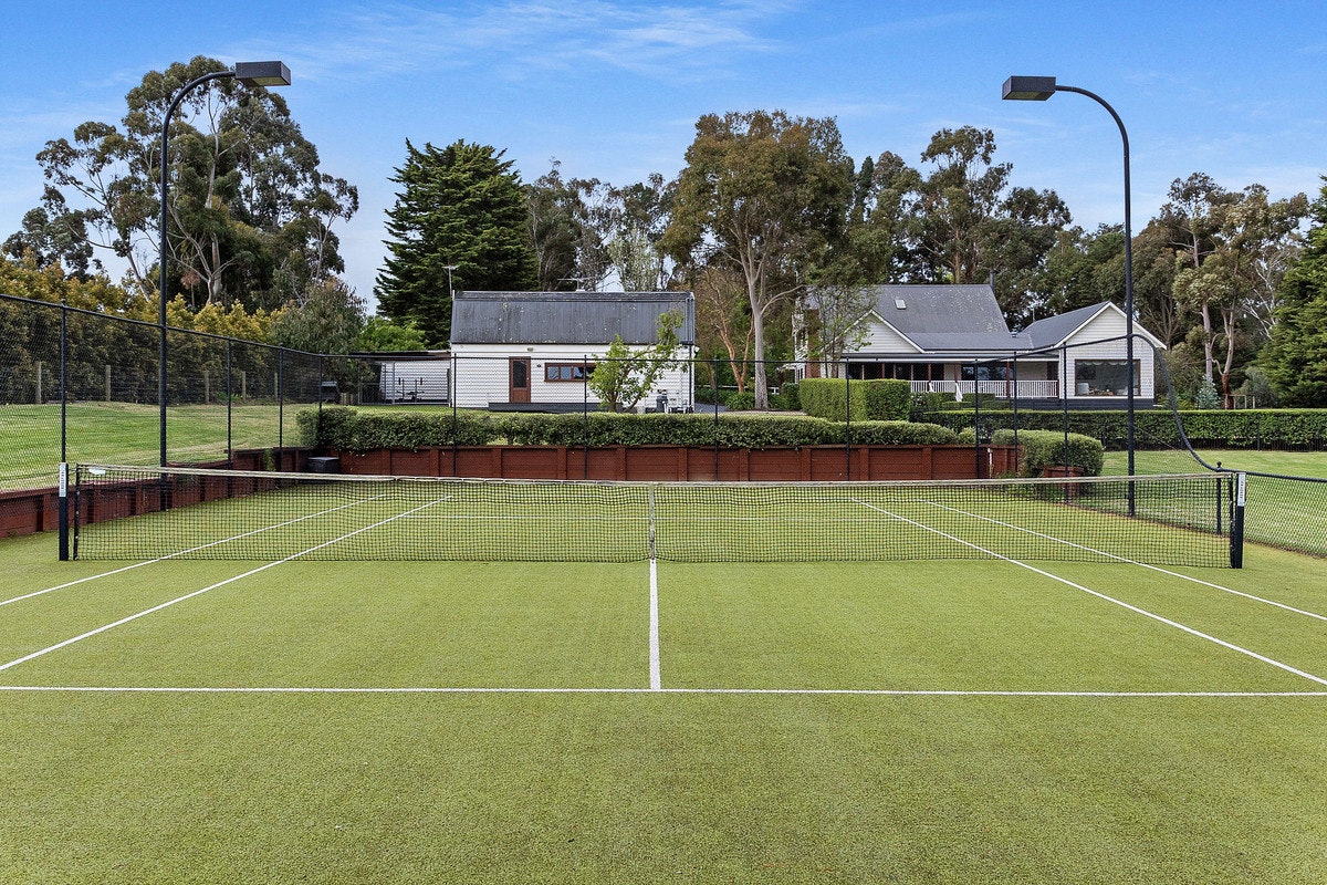 Image of sport