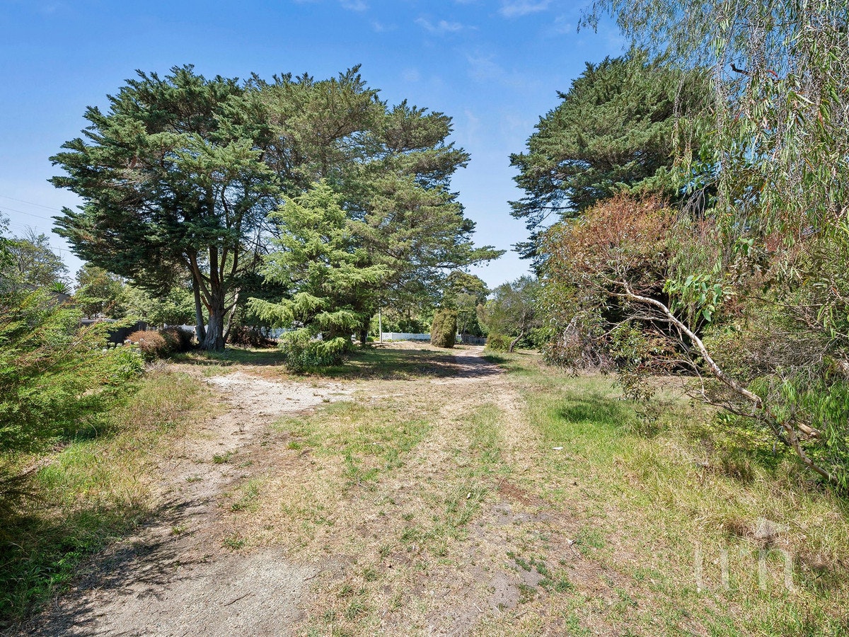 Image of path