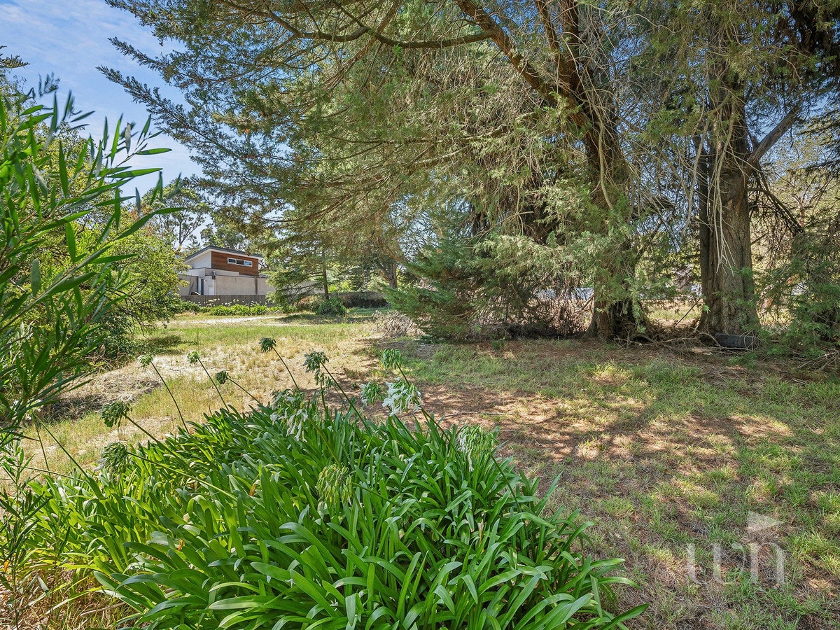 Image of vegetation
