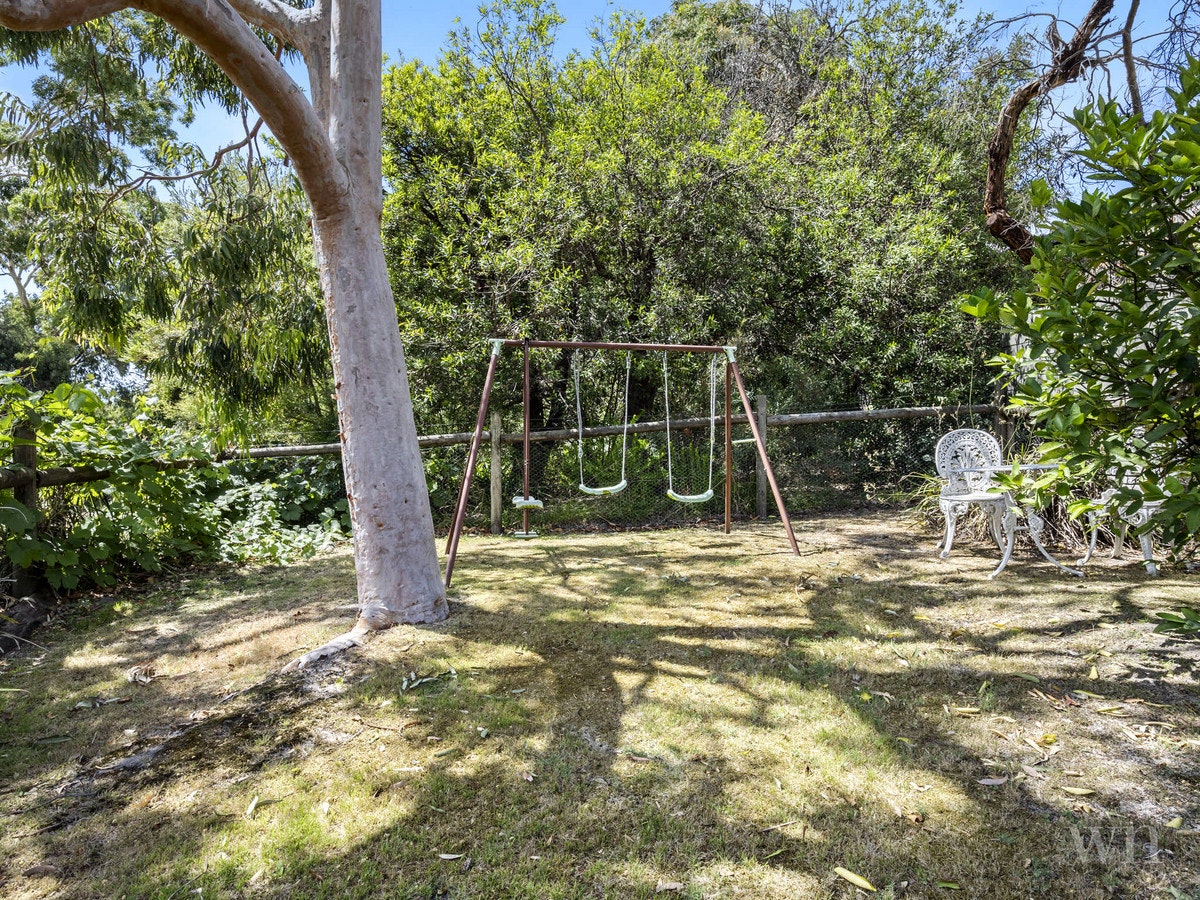 Image of tree