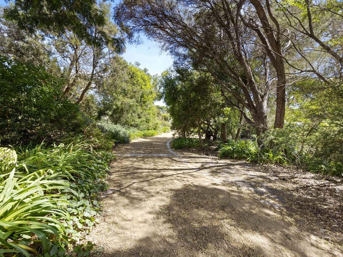 Image of path