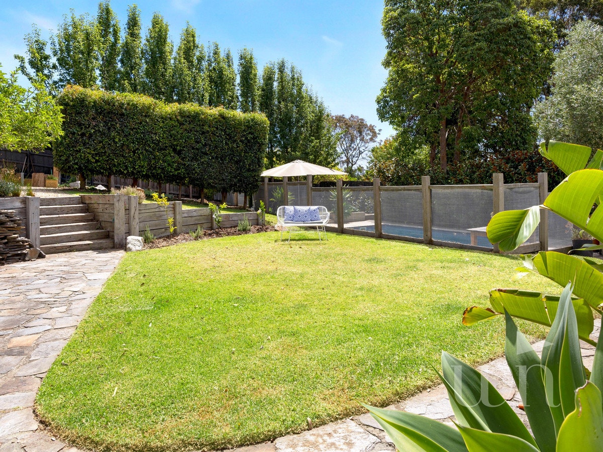 Image of backyard