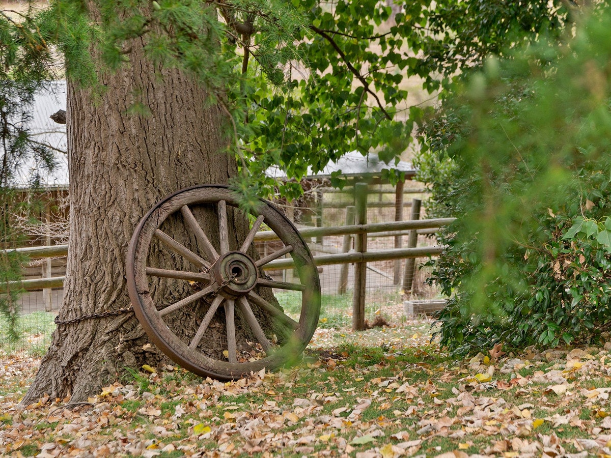 Image of machine