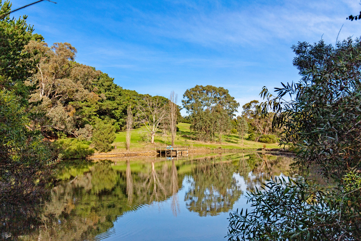 65 Hopetoun Avenue, Mount Martha - Thumbnail 4
