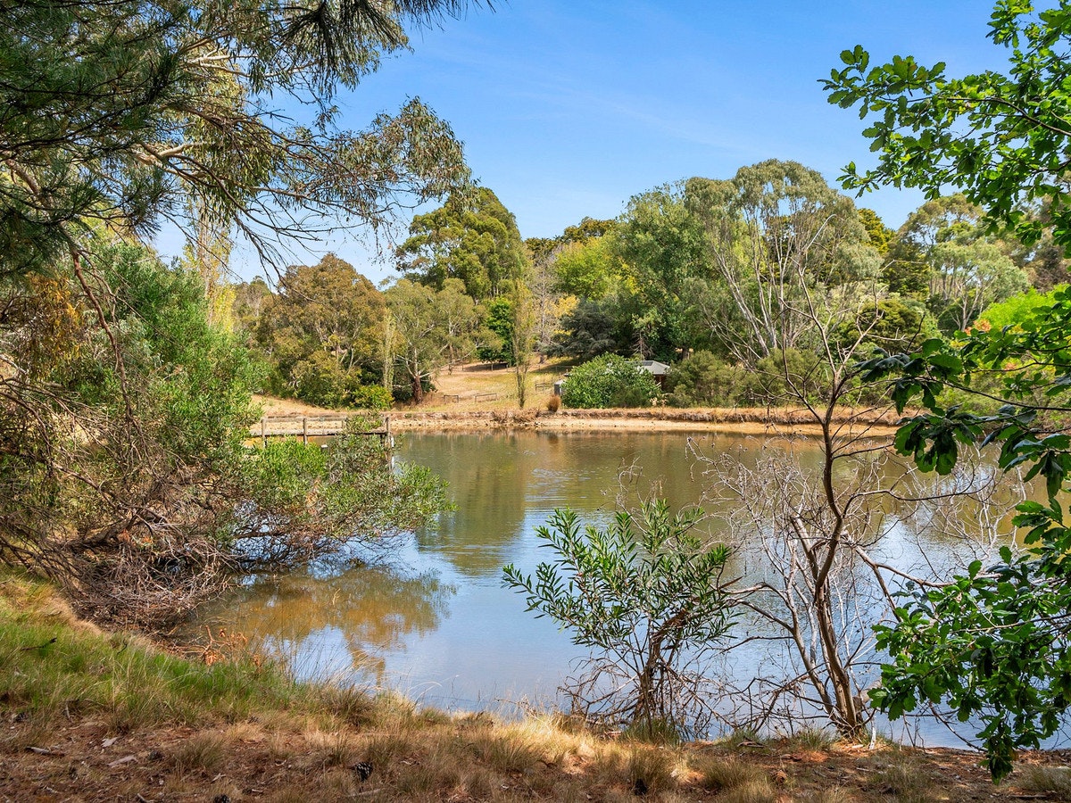 Image of nature