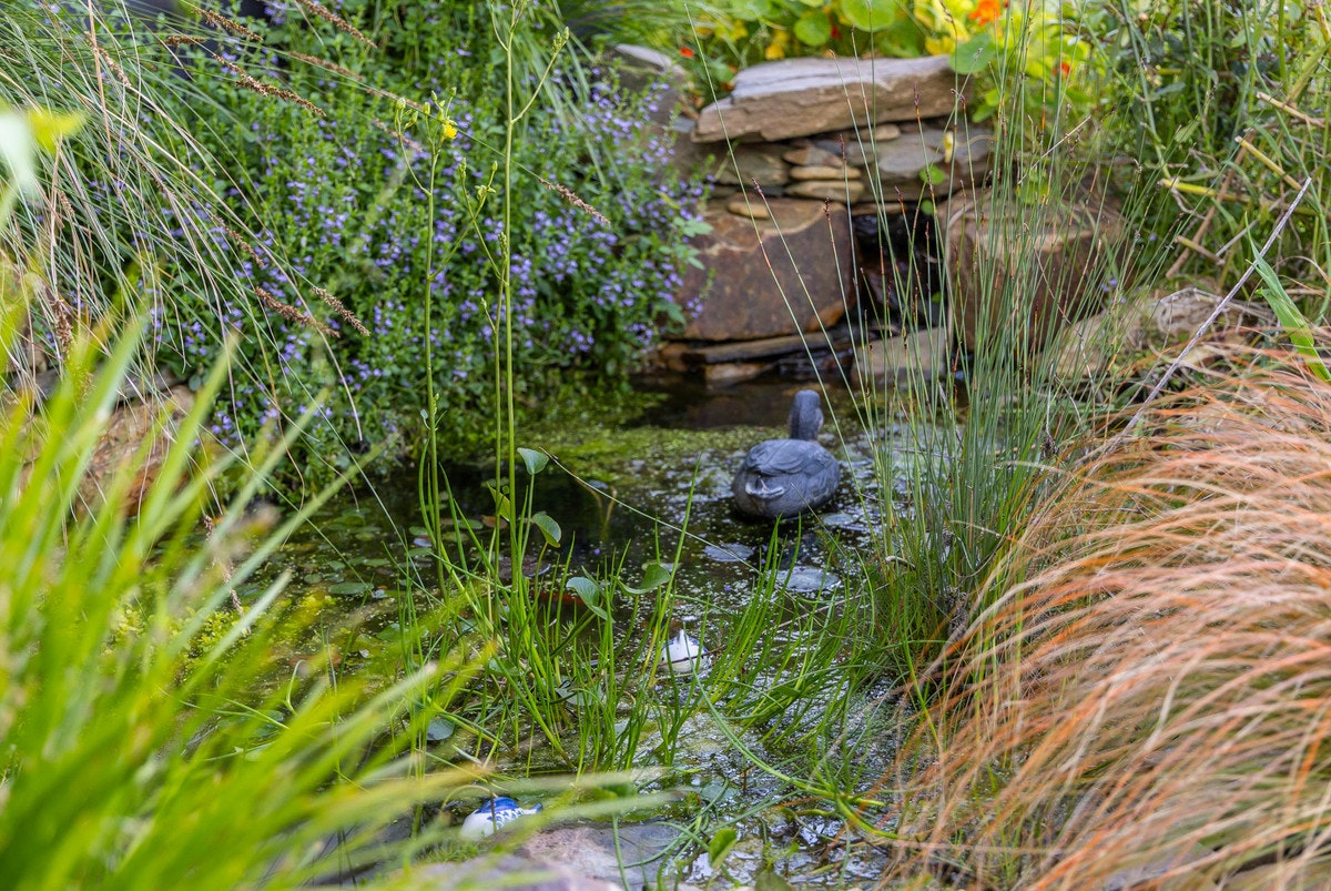 Image of nature