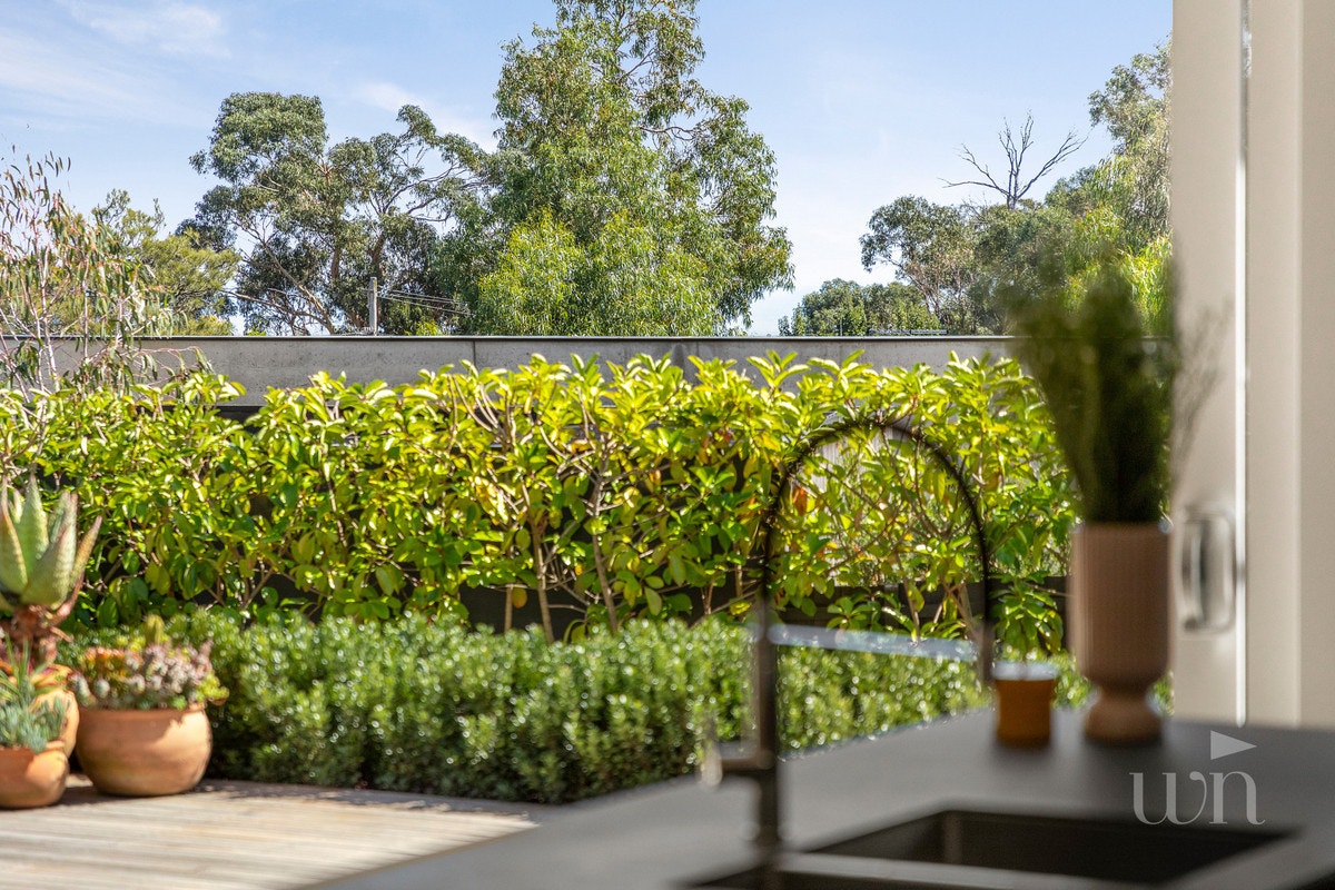 Image of garden