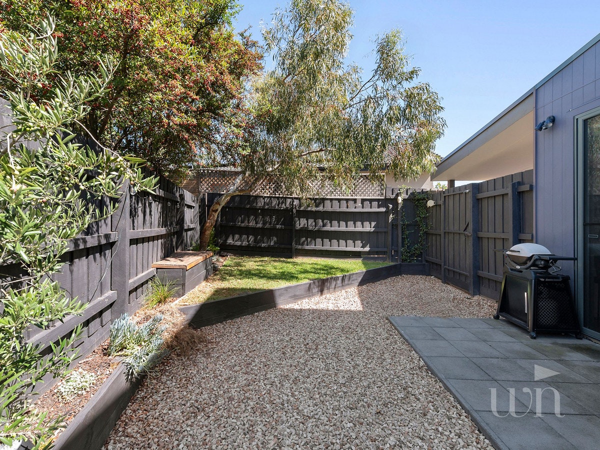 Image of backyard