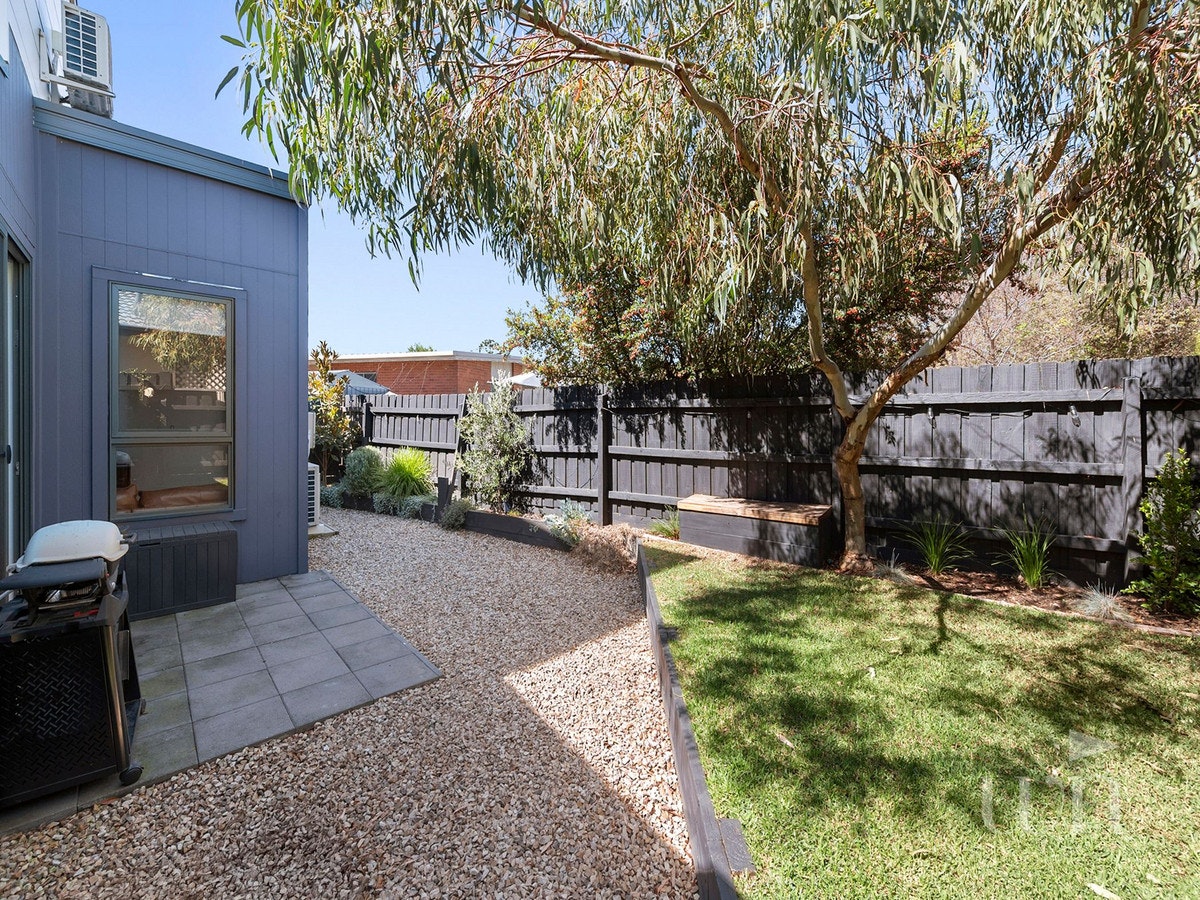 Image of backyard