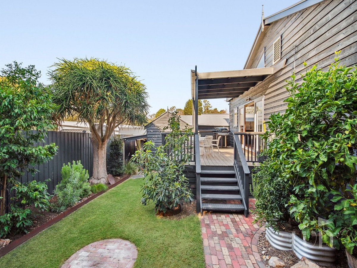 Image of backyard