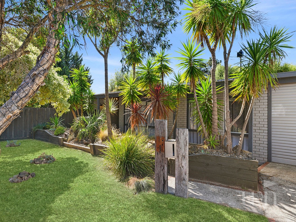 Image of backyard