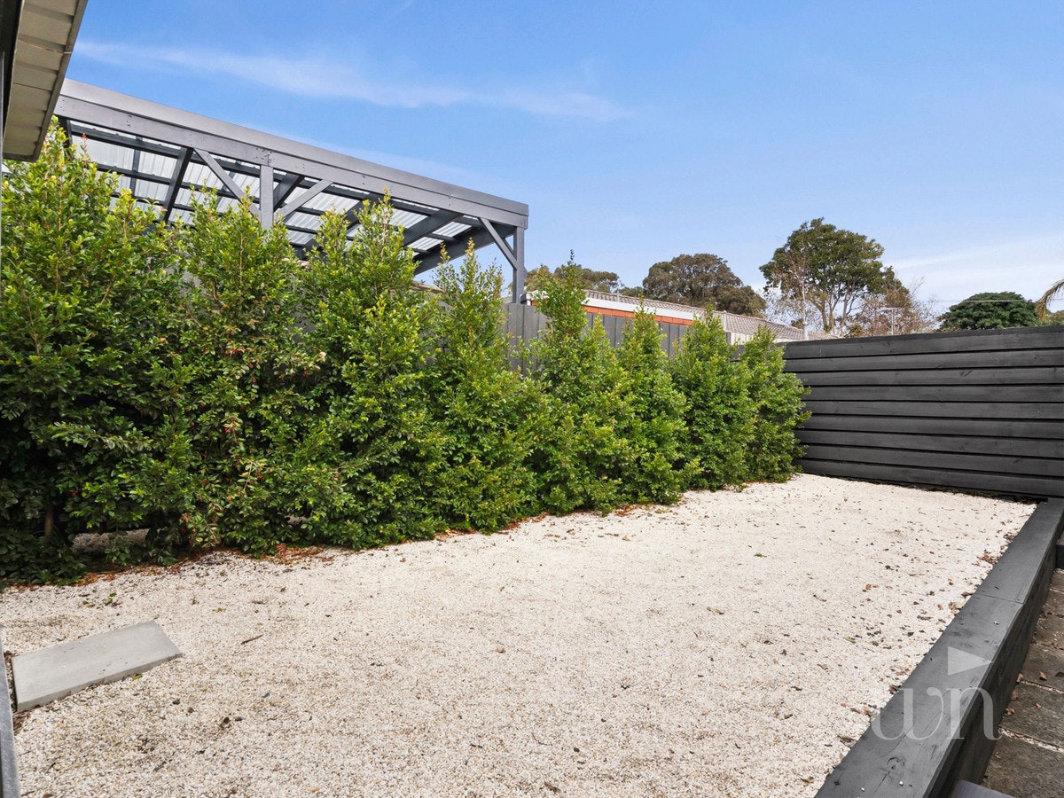 Image of backyard