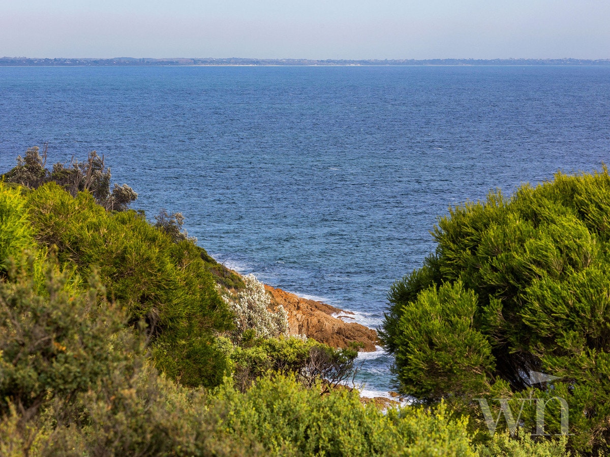 Image of vegetation