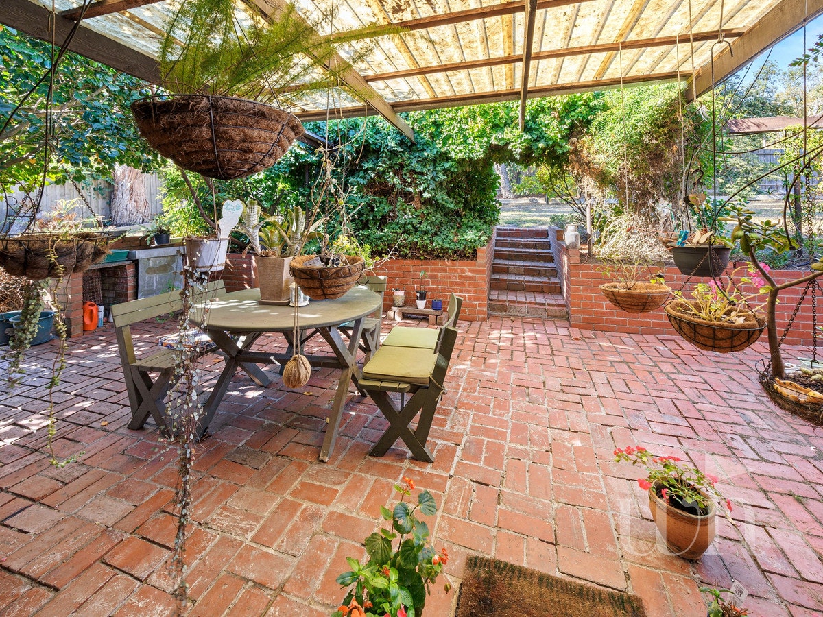 Image of backyard