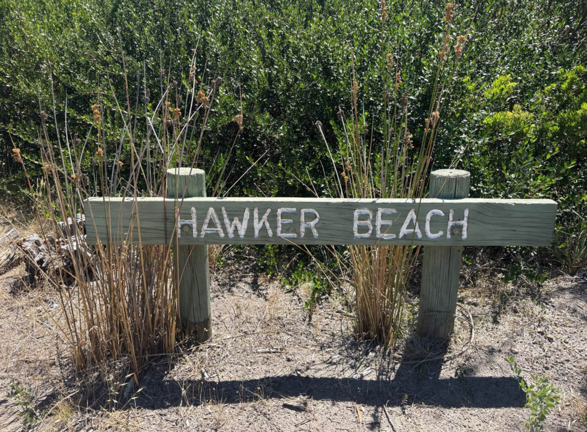 48 Hawker Beach, Mount Martha - Thumbnail 6
