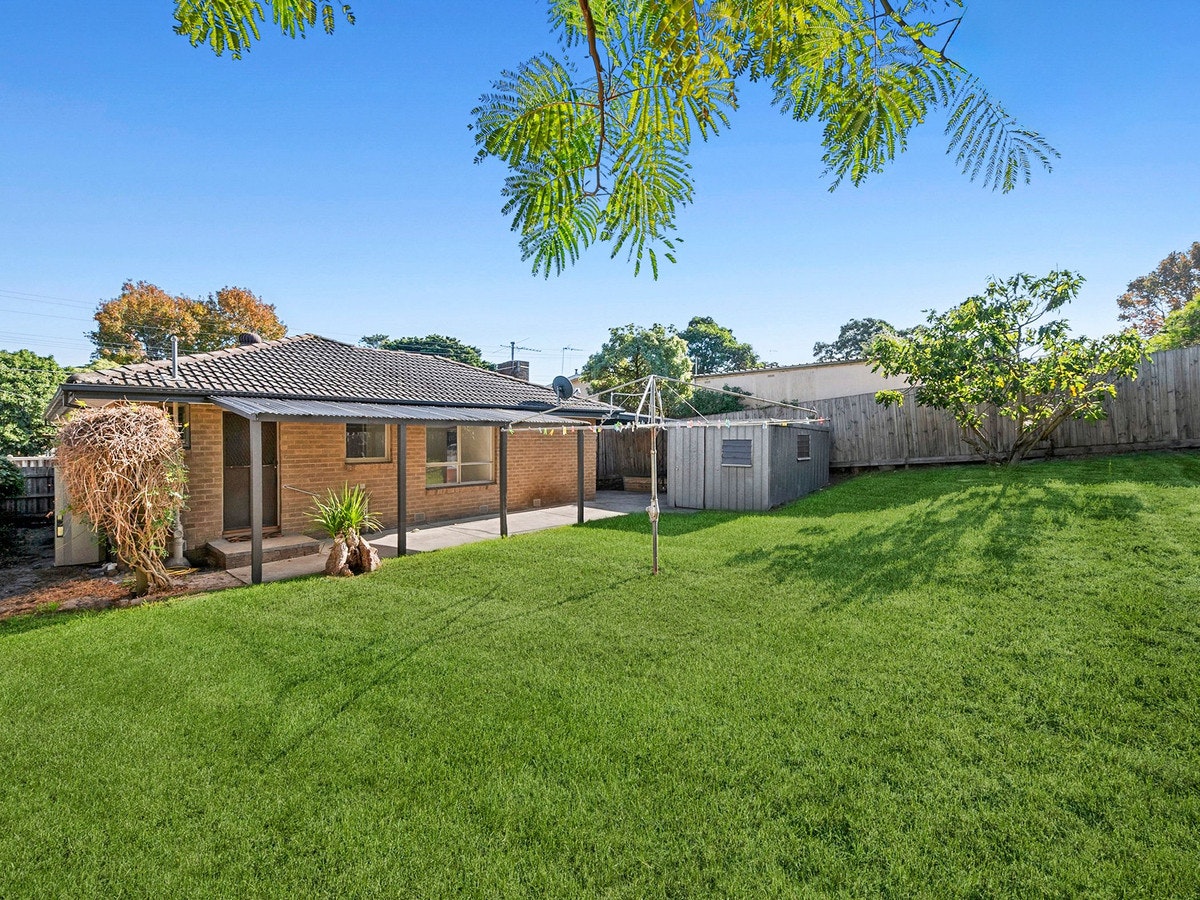 Image of backyard