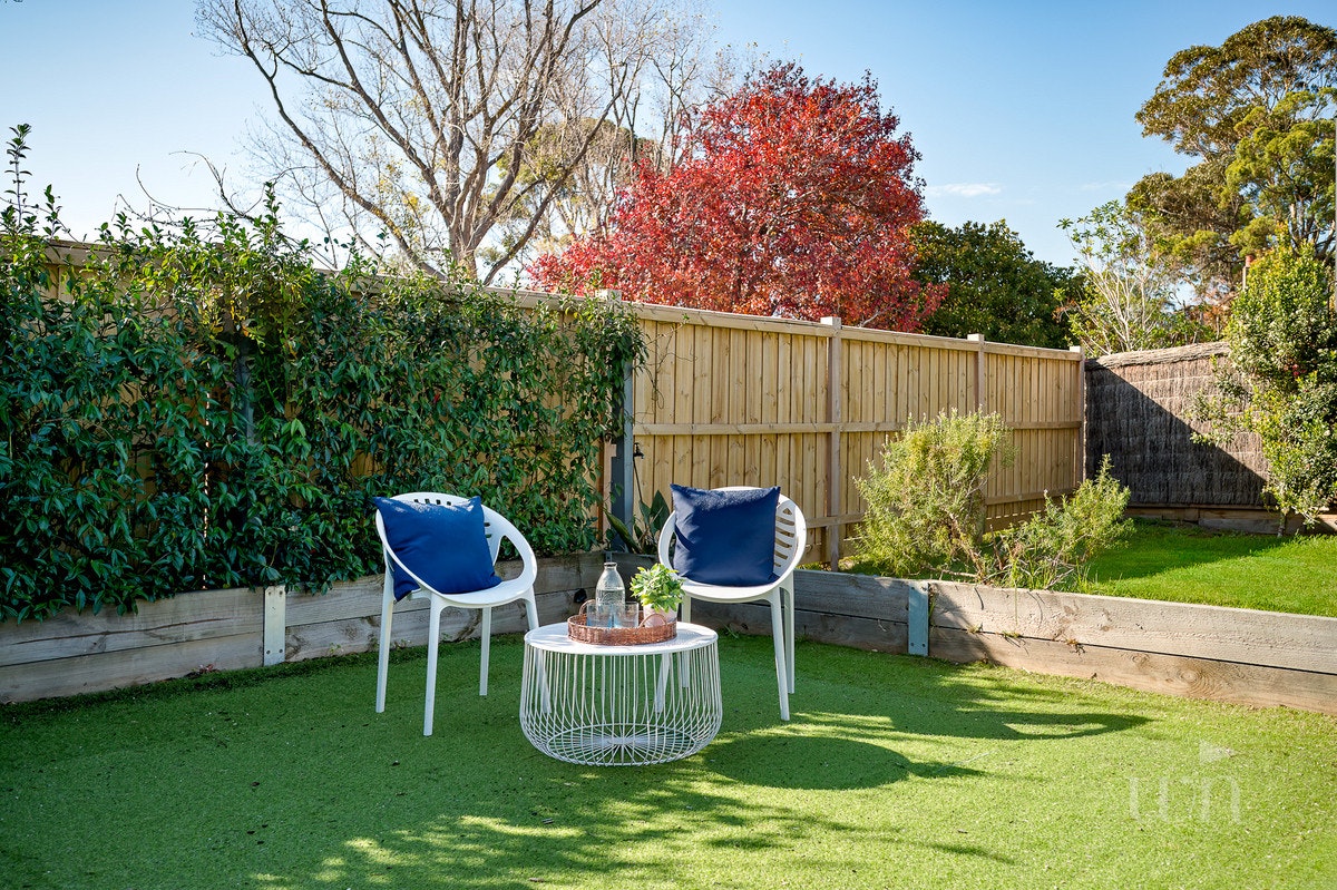 Image of backyard