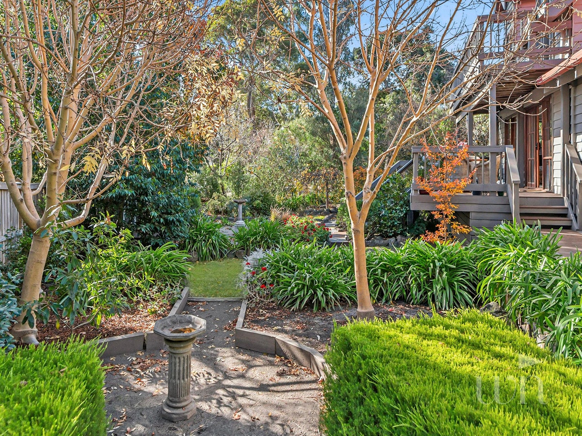 Image of backyard