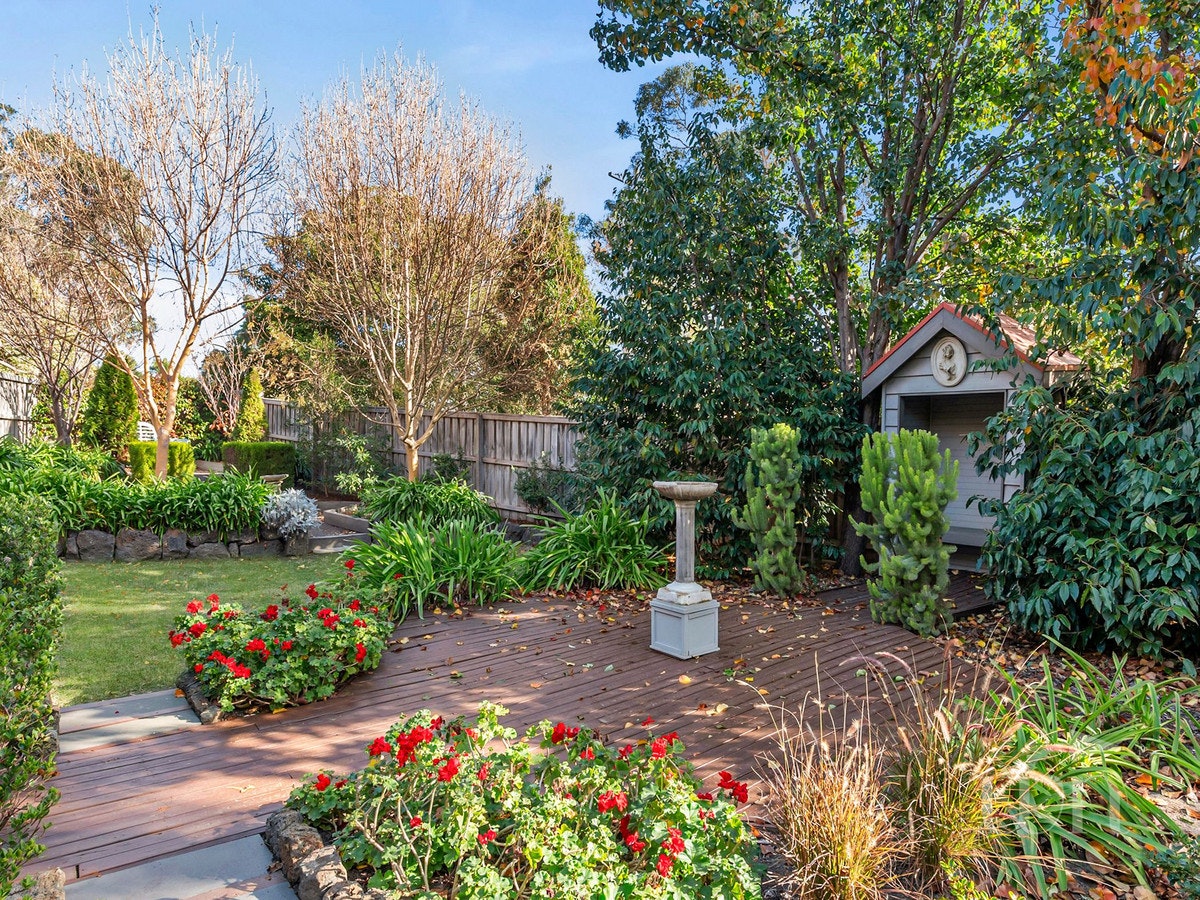 Image of backyard
