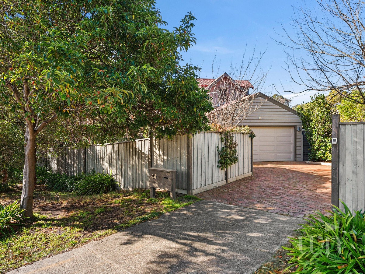 Image of backyard