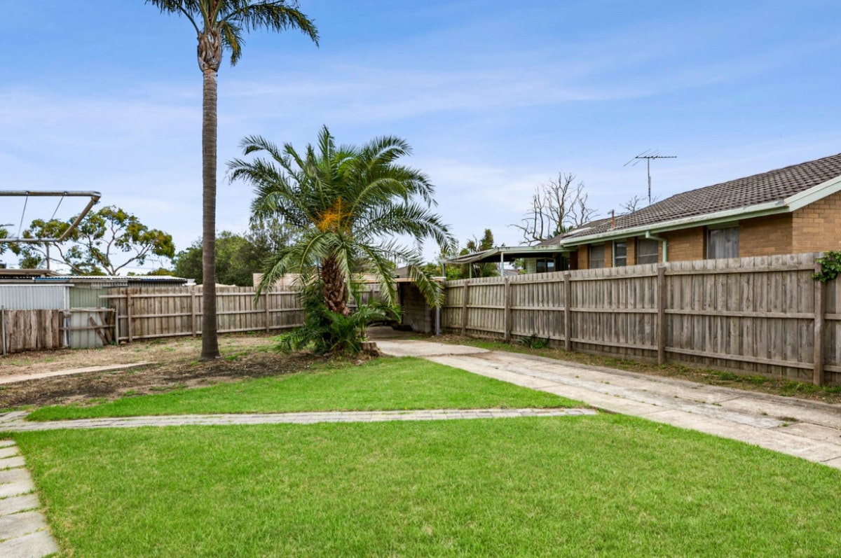 Image of backyard
