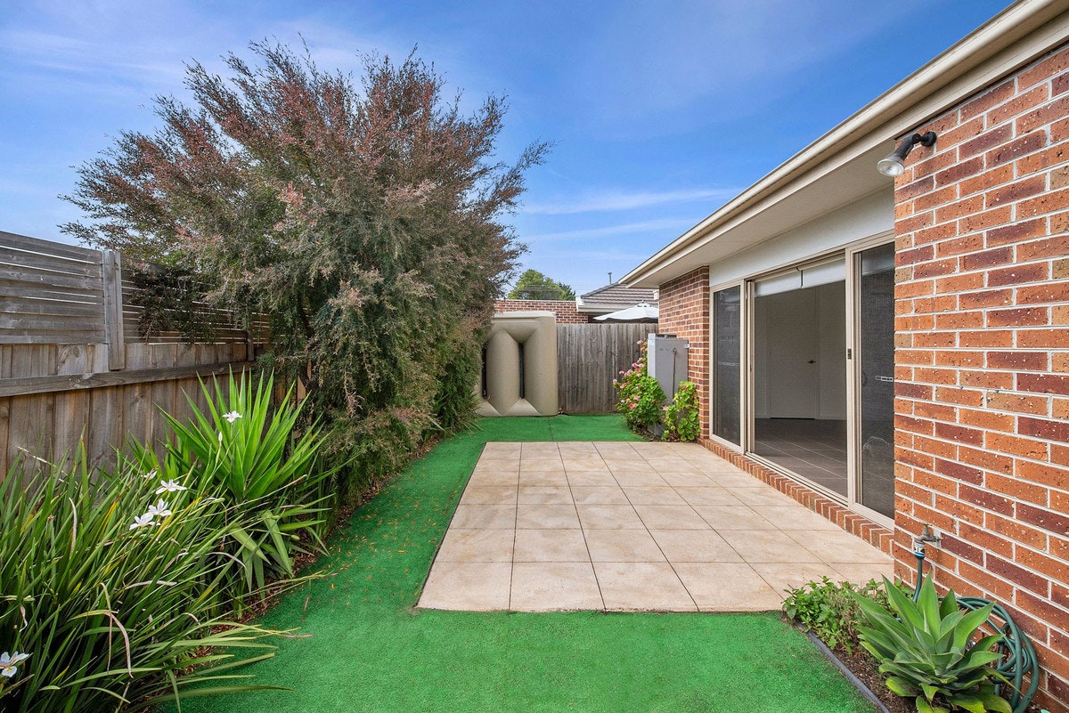 Image of backyard