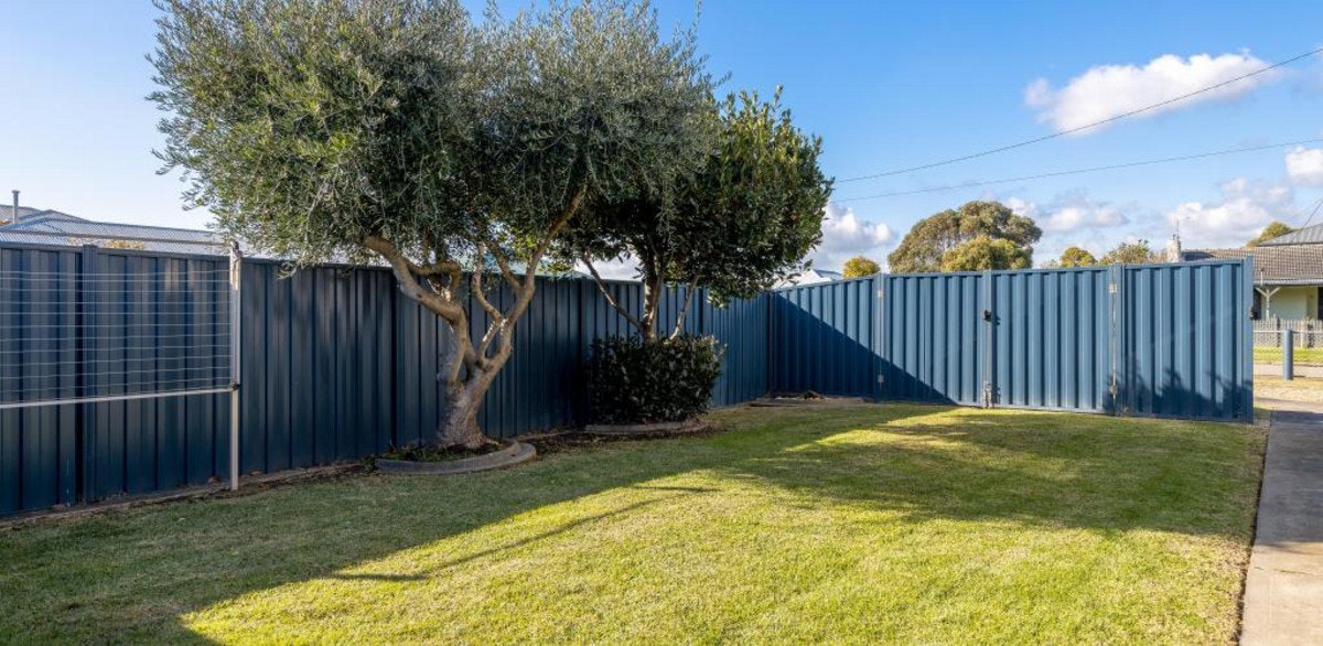 Image of backyard